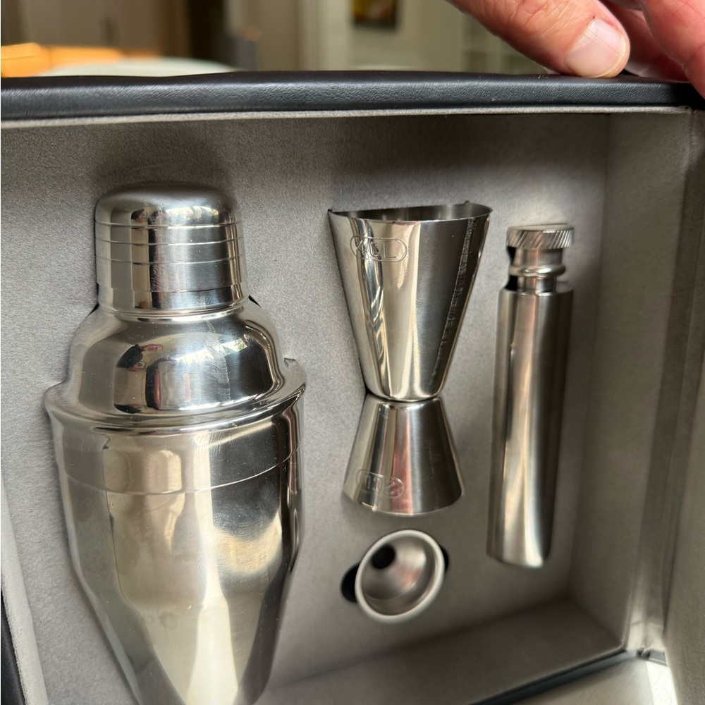 Martini Glasses & Cocktail Bar Tool Set - Clear Glass, Silver Tools 🍸 - Picture 3 of 9